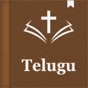Telugu Holy Bible Audio app download
