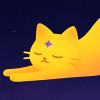Astro Leo - Reflective Friend&nbsp;&nbsp;