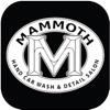 Mammoth Detail Salons icon