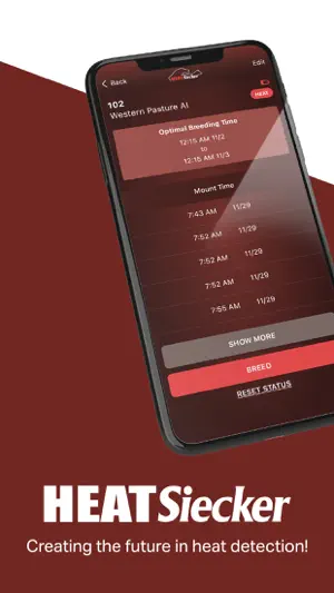 HeatSiecker screenshot 1