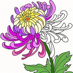 Creative Colors-relax coloring