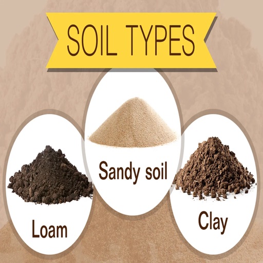 BNB Soils