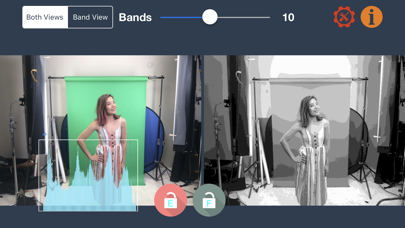 Screenshot #2 pour Perfect Green Screen