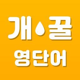 개꿀 영단어 - 뇌에 쏙쏙! 영어 단어 퀴즈