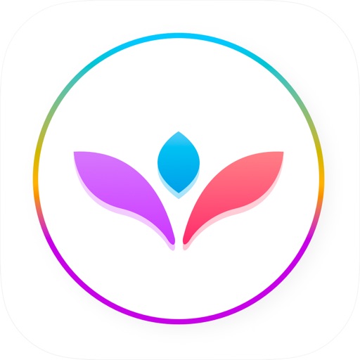 VectorView - File Organizer