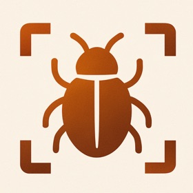 Insect Bug Identifier - Bug ID
