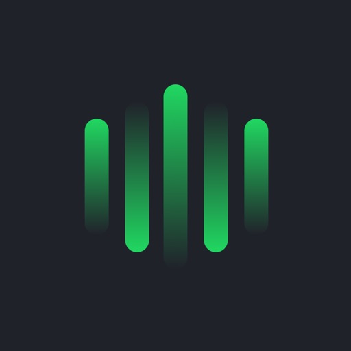 Splitter AI - Vocal Remover