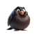 Icon for Fat Blackbird Stickers - Paul Scott App