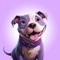 Introducing Keith Olbermann's Shelter Dogs app – your dedicated platform for supporting shelter dogs