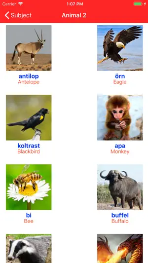 Learn Swedish Voca screenshot 4