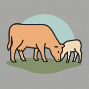 Cattle Grazing Calculator