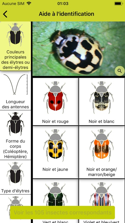 Spipoll screenshot-6