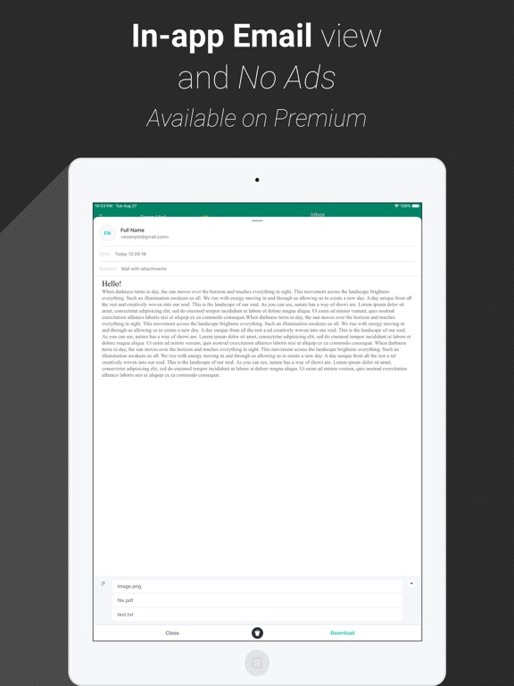 Temp Mail - Temporary Email iPad screenshot 4 - Utilities app