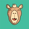 CashCamel - Surveys for Cash icon