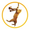 Save the Cat! icon