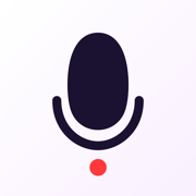 录音: 录音机 (Voice Recorder Pro)