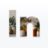 AI Interior Design Remodel App icon