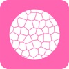Liposome Calculator