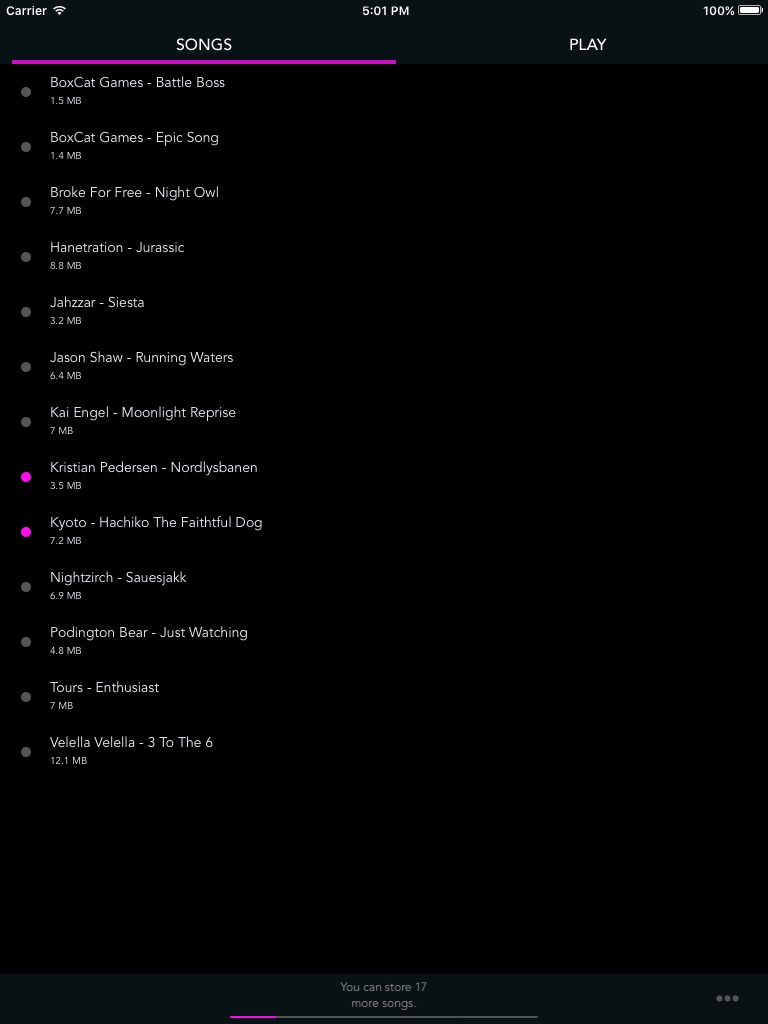 iPad screenshot