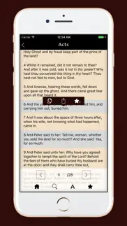 douay - rhiems catholic bible айфон картинки 3
