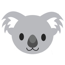 I Spy Koala