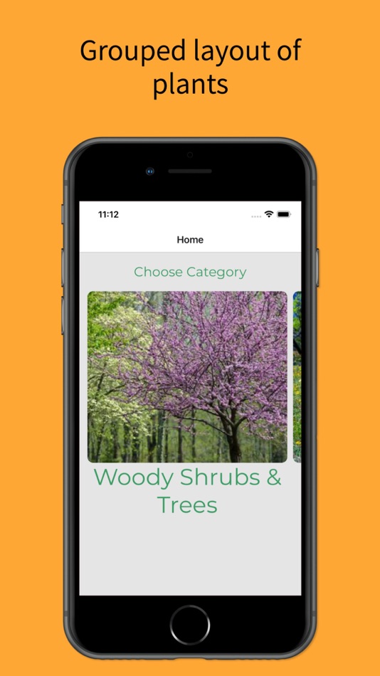 #1. Let Grow (iOS) Podle: Grow With Trees