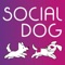 SocialDog helps you find local playmates for your dog, so they can enjoy fun and engaging playdates