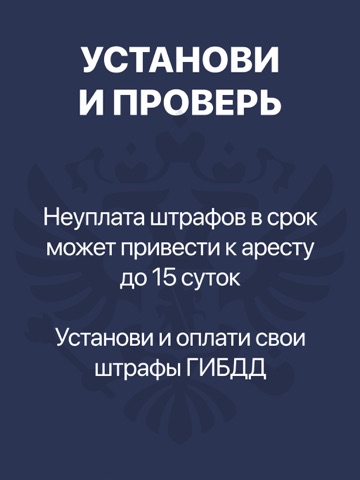 ГАИ штрафы: проверка и оплата iPad screenshot