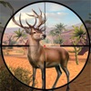 Deer Hunt 3D - Wild Adventure icon