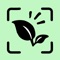 Identify Any Plant Instantly with Plantena