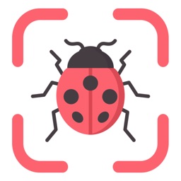 Insect Bug Identifier: BugThis