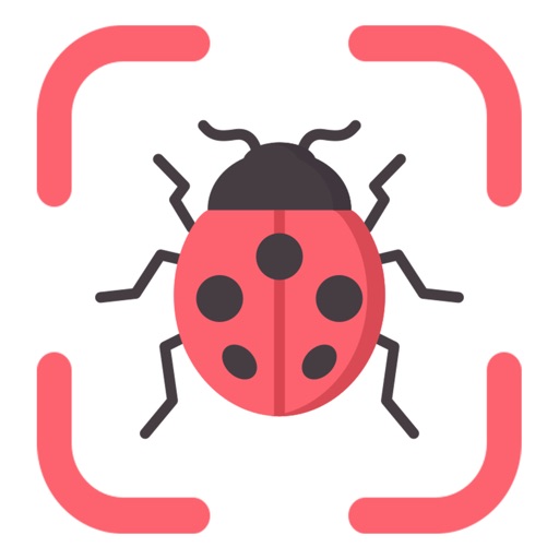 Insect Bug Identifier: BugThis