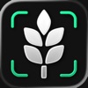 IsThisGF? Gluten Free Scanner app icon - Food & Drink app for iPhone