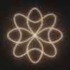 Sand Patterns - Chladni Plate icon