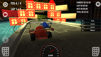 Toy Race Rally Screenshot