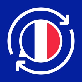 スクリーンショット (4) 法语翻译-智能中法互译助手