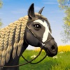 Star Equestrian - Horse Ranch - iPadアプリ