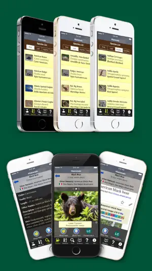 Texas Mammals screenshot 3