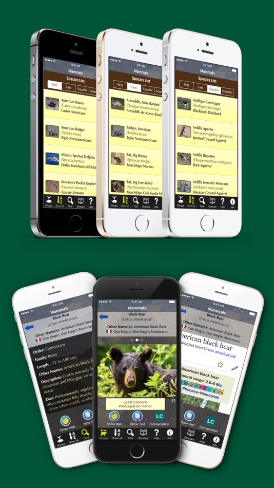 #3. Texas Mammals (iOS) By: I.M.D. Publicacion C.A.