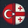 Luna: Georgian Turkish Verbs icon