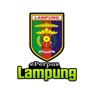 Get ePerpus Lampung for iOS, iPhone, iPad Aso Report