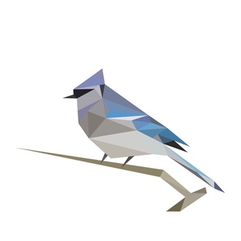 BirdNET