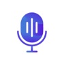 Get Voice Notes Ai-Speech to Text for iOS, iPhone, iPad Aso Report