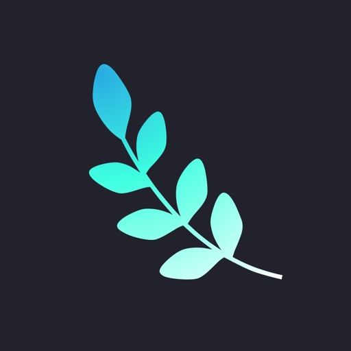 Worldwise: The Wisdom App