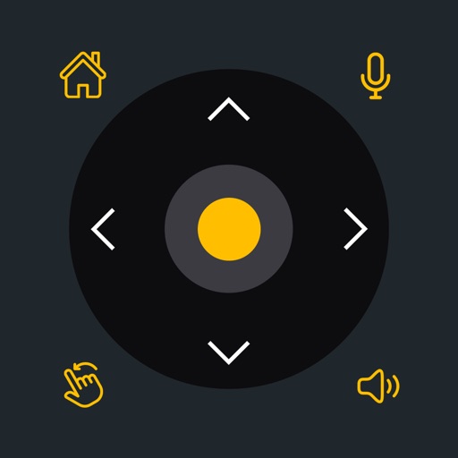 Universal TV Remote Control