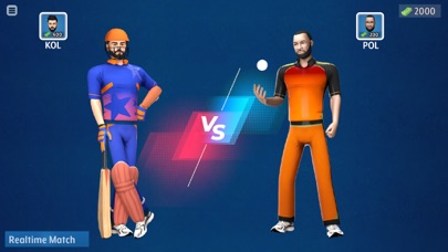 Play World Cricket League Screenshot