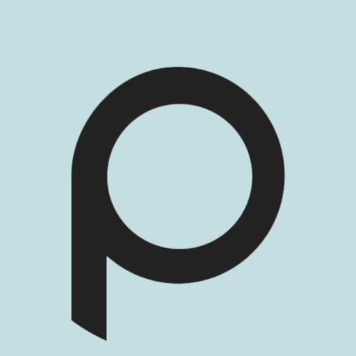 Pioneer Finance
