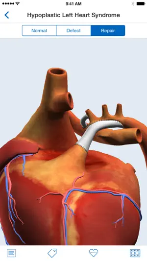 Heartpedia screenshot 1