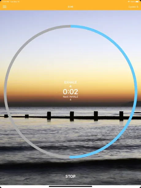 Pranayama Breathing Yoga Timer