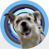 PawsUnited Go! icon
